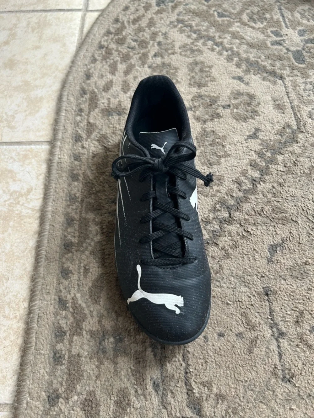 Puma low profile